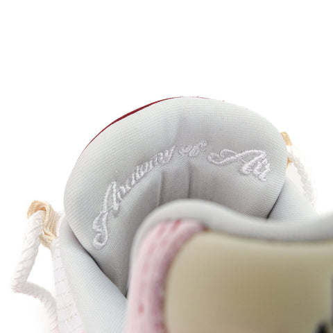 (New)Nike Airmax 95 Anatomy of Air 'Muscle'